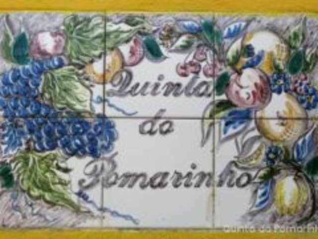 Quinta Do Pomarinho Villa Arouca Exterior foto